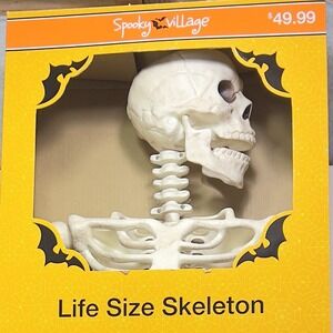 5 Ft. Life-Size Posable Plastic Skeleton Halloween Decoration