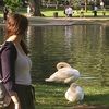 swan1228