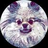 sablepom503